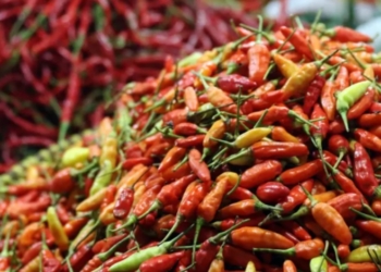Awal Tahun 2024, Harga Cabai di Sejumlah Pasar Pohuwato Turun