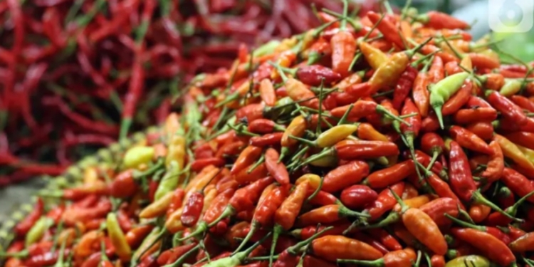 Awal Tahun 2024, Harga Cabai di Sejumlah Pasar Pohuwato Turun