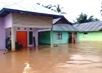 Diduga Akibat Aktivitas Peti, Sebabkan Banjir Bandang di Taluditi
