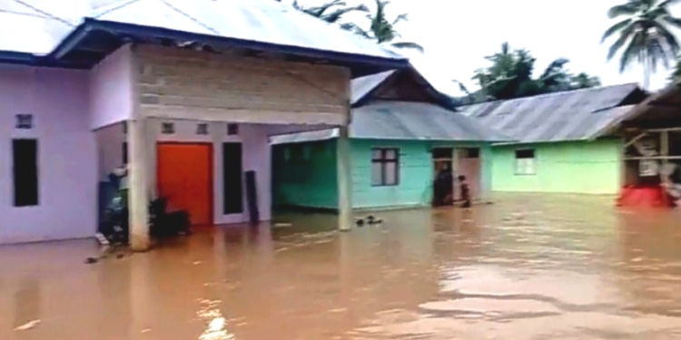 Diduga Akibat Aktivitas Peti, Sebabkan Banjir Bandang di Taluditi