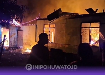 Breaking News: Kebakaran Dahsyat di Paguat Lahap Rumah Warga