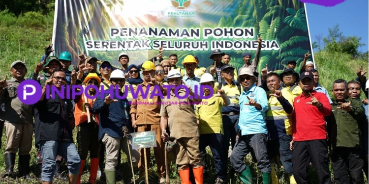 Area Rehab DAS Pani Gold Project Dipilih Untuk Penanaman Pohon Serentak