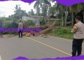 Angin Kencang Robohkan Pohon Kelapa, PLN dan Polisi Gerak Cepat Tangani Dampak