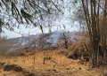 PGM Bersinergi dengan Damkar dan Warga Padamkan Kebakaran di Hulawa