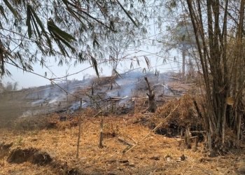PGM Bersinergi dengan Damkar dan Warga Padamkan Kebakaran di Hulawa